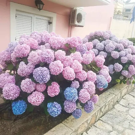 アパートホテル Cha Nanakas Village Potamós